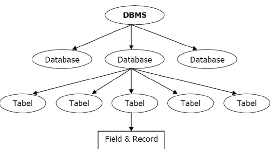 Gambar II.6. Hirarki Database  Sumber : Achmad Solihin, 2010:7  II.4.2. MySQL 
