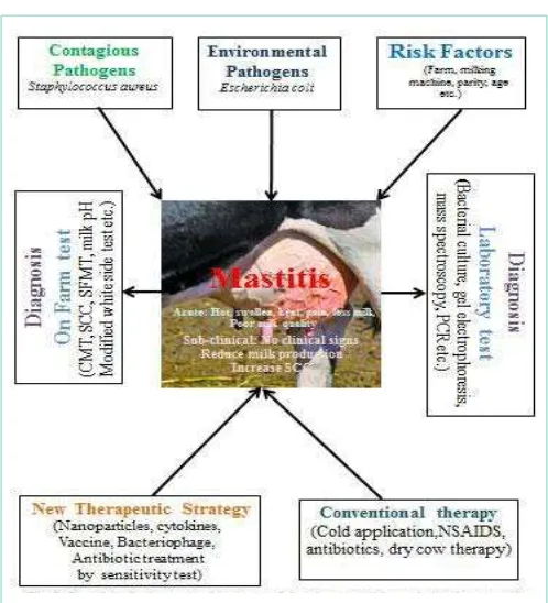 Figure 1: Graphical abstract of bovine mastitis.Schematic presentation of causes of bovine mastitis and therapeutic strategies to prevent and control of the disease