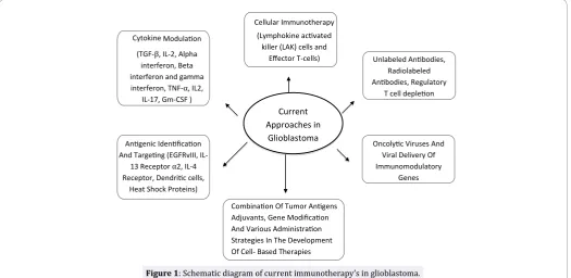 Figure 1: Schematic diagram of current immunotherapy’s in glioblastoma.