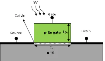 Figure 1. Cross sectional view of the proposed JL-OCFET phototransistor. 