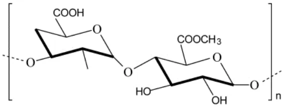 Gambar 7. Struktur kimia pektin (Hamman, 2010). 