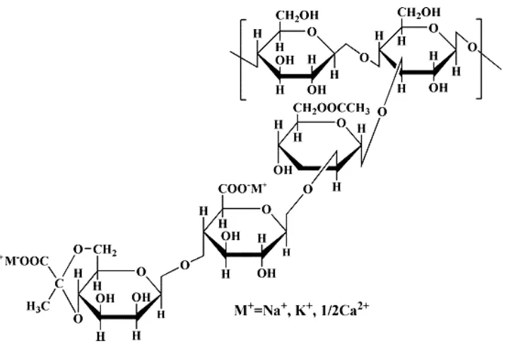 Gambar 4. Struktur kimia xantan gum (Nussinovitch, 1997) 
