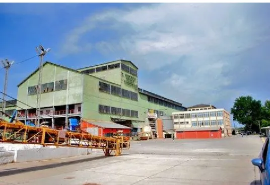 Şekil 1. Ankara Şeker Fabrikası 1.3. Ürün Sayısı, Üretim Şekilleri ve Ürünlerin Teknik Özellikleri