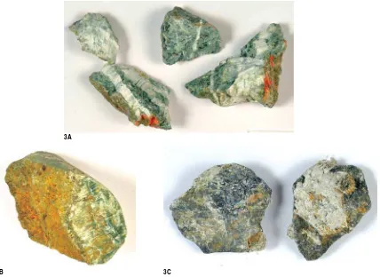Figure 3. Rock samples used in the test program to demonstrate the effect of sample preparation procedures, specificallysample that contains actinolite (byssolite), which was also obtained from a drill core; and sonication, on crushed rock: 3A, pieces of rock containing tremolite asbestos that were taken from a drill core; 3B, a3C, two pieces of chrysotile orefrom the mine in Lowell, Vermont.