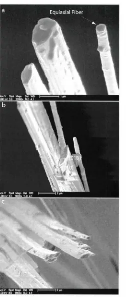 Figure 5: a showing SEM images of bundles from the Jamestown tremolite mounted to the end of a glass fiber