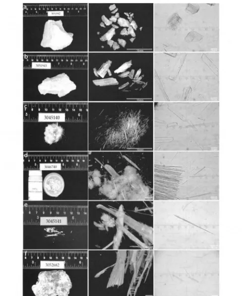 Figure 1: (b) Hand sample, macro-and micro-photographs of each of the six tremolite samples used in this study: (a) Arnold_l, Arnold_2, (c) Ala di Stura, (d) NIST SRM 1867a, (e) Jamestown, and (j) North Carolina