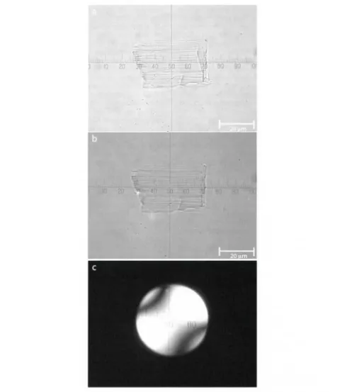Figure 2: Photomicrographs of a grain from the Arnold_l sample displaying parallel extinction: (a) The grain in plane polarized light with (110) cleavage traces