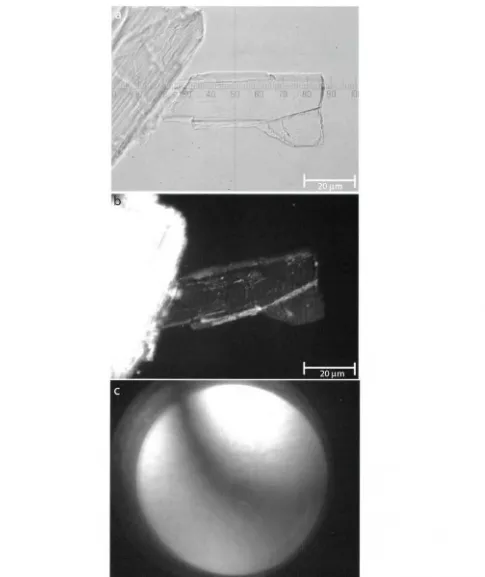 Figure 3: angle and Photomicrographs of a grain from the Arnold_l sample displaying inclined extinction: (a) Grain in plane polarized light with the c-axis parallel to the lower polarizer