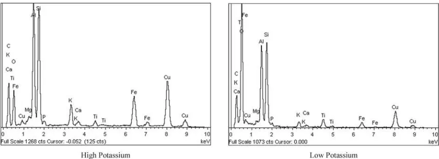 Figure 23. Range of fly ash composition determined in one sample by X-ray EDS: high and low silicon.