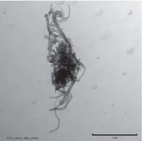 Figure 4. TEM image of airborne multiwall nanotubescollected on an MCE filter.