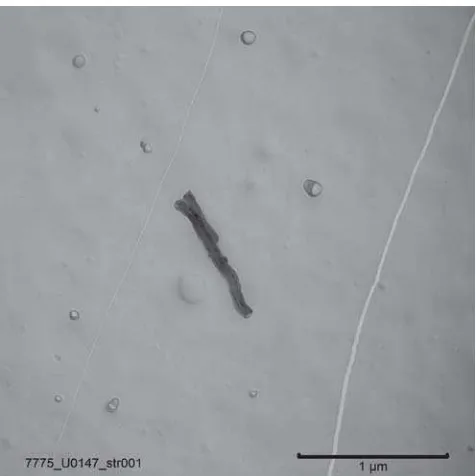 Figure 11. TEM image of airborne multiwall nanotubescollected on an MCE filter.