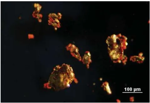 Figure 9. Quartz grain (black arrow) with diagenetic calcite(white arrow), crossed polars with Red I plate.