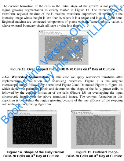 Figure 11. Nuclei of BGM-70                  Figure 12. Over Lapped Image-  Cells on 3rd Day of Culture                       BGM-70 on 3rd Day of Culture 