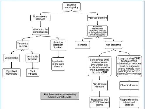 Figure 1: A flow chart created by the author explaining the pathological elements causing the diabetic maculopathy.