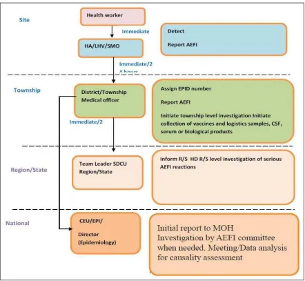 Figure 5. Report routing, timeline and mandated actions for AEFI
