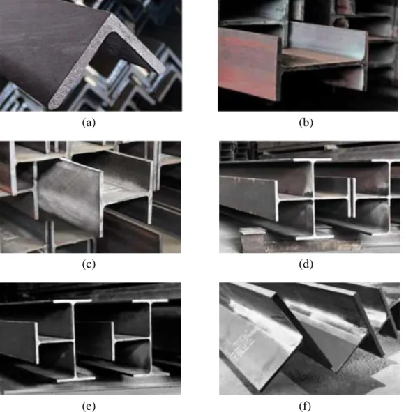 Gambar  3.4  (a)  Equal  Angle  (b)  Wide  Flange  (c)  H-Beam  (d)  King  Cross           (e) Queen Cross (f) Tee Section 