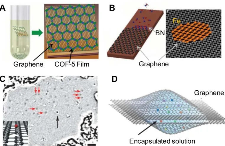 Fig. 7. Using graphene as a substrate. (A) Vertical growth on graphene substrateencapsulating growth solutionstructures of a suspended atomic Fe layer in graphene pore (right)graphene membrane
