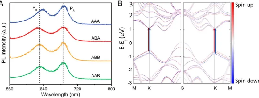 Fig. 12. (A) Atomic structure (top) and vibrational displacements of the interlayer shear modes (down) in ABA- and AAA- stacked 3L MoSe2