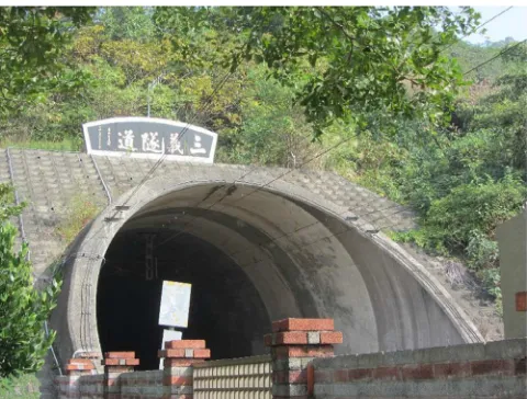 Fig. 3. Bolu tunnel portal (Lubunya, 2014).