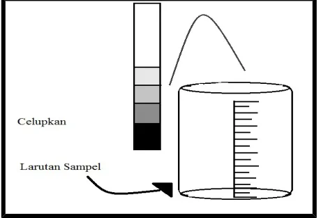 Gambar 1. Metode Percobaan Pengukuran pH dengan pH Meter.