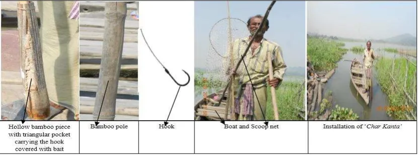 Fig 1: Overall representation of ‘Char Kanta’ fishing 