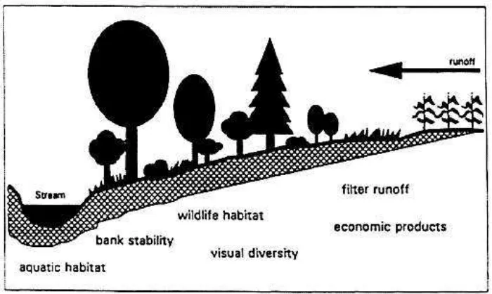 Gambar 1. Kompsisi struktur vegetasi di watershed yang tersusun atas rumput, semat dan pohon (Ffolliott & Fogel, 2003)