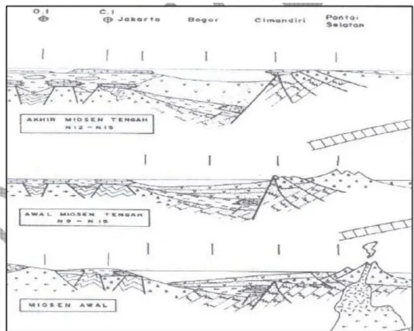 Gambar I.4. Penampang Tektonik Geologi Miosen Awal-Akhir Miosen Tengah  (Martodjojo, 2003) 