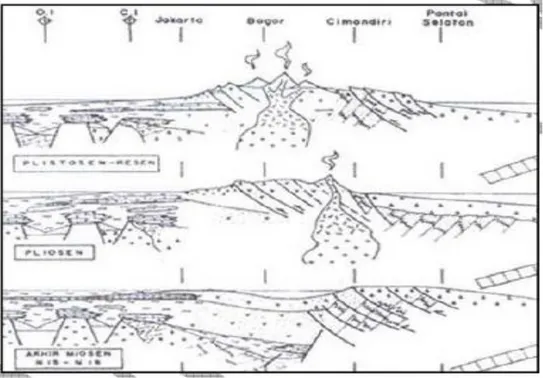 Gambar I.5. Penampang Tektonik Geologi Miosen Akhir-Resen(Martodjojo, 2003) 