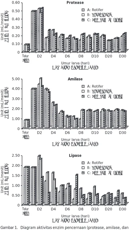 Gambar 1. Diagram aktivitas enzim pencernaan (protease, amilase, dan lipase) larva ikan kuwe dari setiap perlakuan pakan awal (rotifer, gonad kerang, dan kuning telur) selama penelitian Figure 1