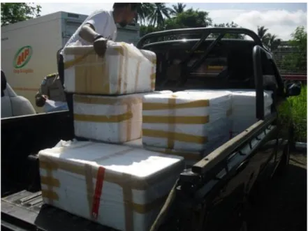 Gambar 8. Proses pengiriman produk anemon laut di cargo Syamsuddin Noor 