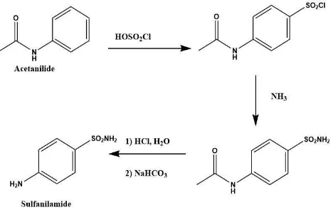Figure 2.  Synthesis of sulfanilamide 