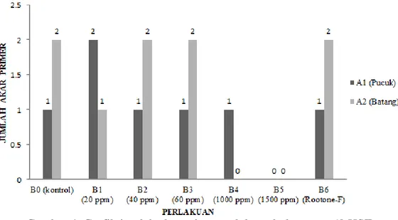 Gambar 4  Grafik jumlah akar primer stek kayu kuku umur 60 HST 