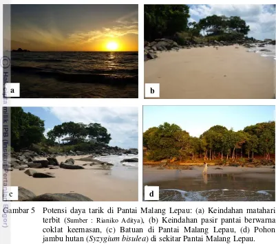 Gambar 5 Potensi daya tarik di Pantai Malang Lepau: (a) Keindahan matahari 