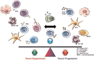 Gambar 2.1. Tumor Infiltrasi limfosit pada kanker 