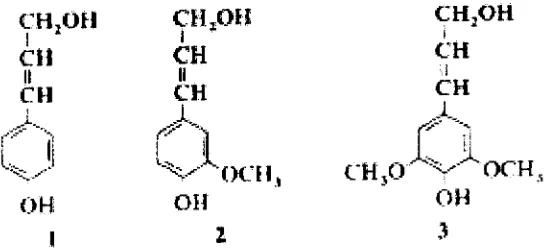 Gambar 2.1 Struktur Tunggal Molekul Selulosa (Hannsen, 2010). 