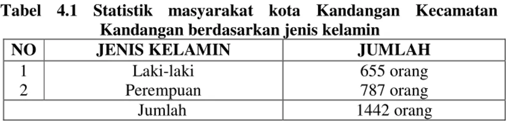 Tabel  4.1  Statistik  masyarakat  kota  Kandangan  Kecamatan  Kandangan berdasarkan jenis kelamin 