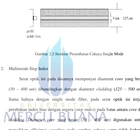 Gambar 2.2 Struktur Perambatan Cahaya Single Mode 