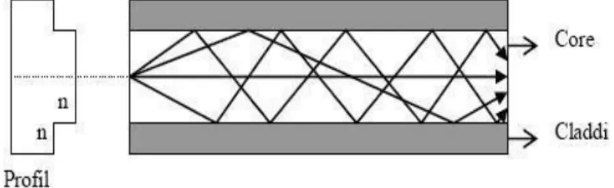 Gambar 2.3 Struktur Perambatan Cahaya Multimode Step Index  3.  Multimode Graded index 