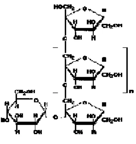Gambar 1.1 Struktur Inulin