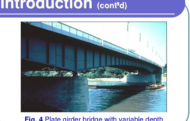 Fig. 4 Plate girder bridge with variable depth 