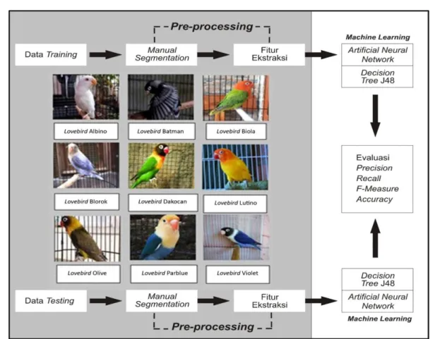 Gambar 1. Sistem Evaluasi Klasifikasi Citra Burung Lovebird burung lovebird di kecamatan Pakis Kota Malang