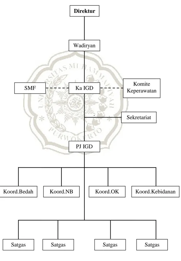 Gambar 1. Struktur organisasi IGD RSUD Prof.DR.Margono Soekarjo  Purwokerto  Direktur  Wadiryan   Ka IGD  Komite  Keperawatan SMF  PJ IGD  Sekretariat   