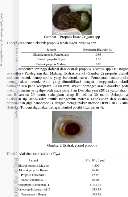 Gambar 1 Propolis kasar  Trigona spp 