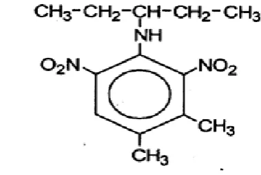 Gambar 1.  Struktur kimia pendimethalin (Ashton dan Thomas 1991) 