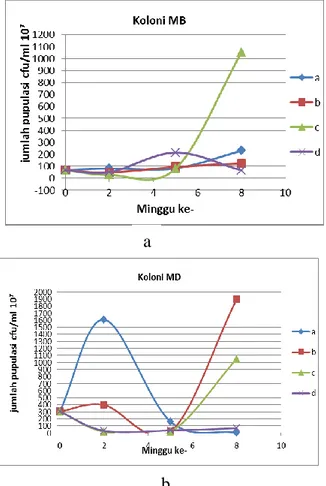 Gambar  1.  Dinamika  Populasi  :  (a)  Rhizobacteri  indigenous  Merapi  isolat  MB  dan  (b)  Rhizobacteri  indigenous  Merapi  isolat  MD  Pada  Padi  Segreng Handayani 