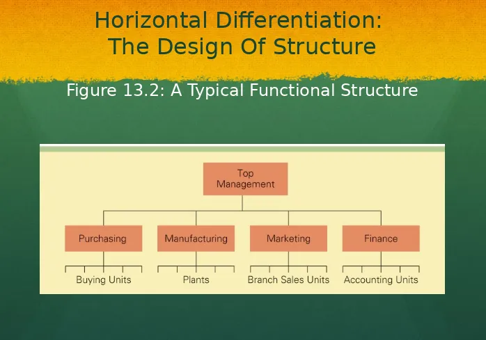 Figure 13.2: A Typical Functional Structure