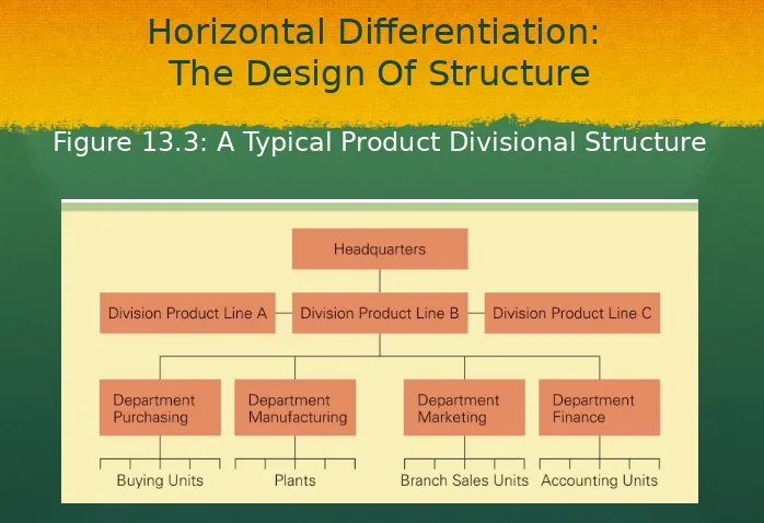 Figure 13.3: A Typical Product Divisional Structure