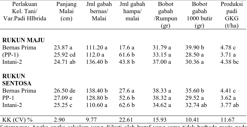 Tabel 2. Penampilan tinggi tanaman dan jumlah anakan produktif padi hibrida di lokasi kelompok tani