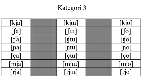 Tabel 3.3 Kategori 3 
