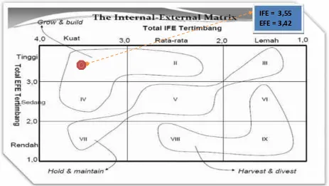 Gambar 2. Output Matriks Internal –External (I-E)